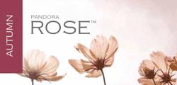 pandora rose autumn 2015
